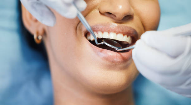 Best Root Canal Treatment  in North Brooksville, FL